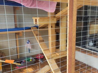 Kitty Pen Installation Services