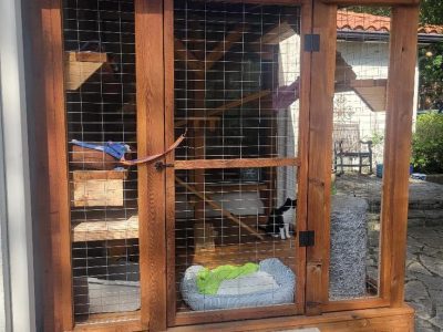 Outdoor Kitty Pen Installation Services 1