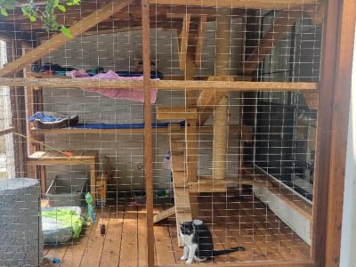 Outdoor Kitty Pen Installation Services 2